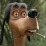 Aku profil fotoğrafı