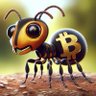 Фото профиля crypto-ant