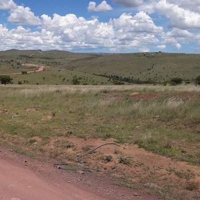 ntlokom's profile picture