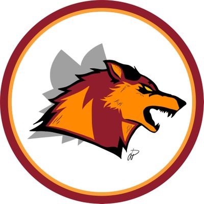 Vivere Romanista 🐺's profile picture