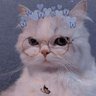 Фото профиля Andro