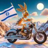 Profilbild von Nir2112 🇮🇱🇺🇸