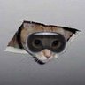 Profilbild von eechentx โจ (ceilingcat.bsky.social)