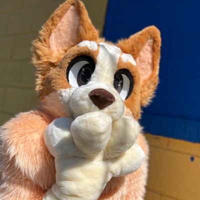 Bingo Heeler Fursuit 🧡✨'s profile picture