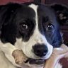 Profilbild von Jake