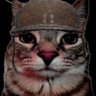 caio's profile picture