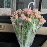نون's profile picture