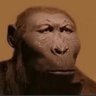 Proxfed's profile picture