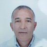 Bahar Brahim's profile picture