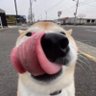 Profilbild von Crunchy Munchy