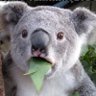 David's profile picture
