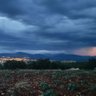 Kasım Baytok profil fotoğrafı