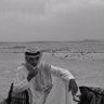 محمد الشيباني's profile picture
