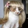 Me dicen ..."La Gate"'s profile picture