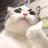 佛系中年's profile picture
