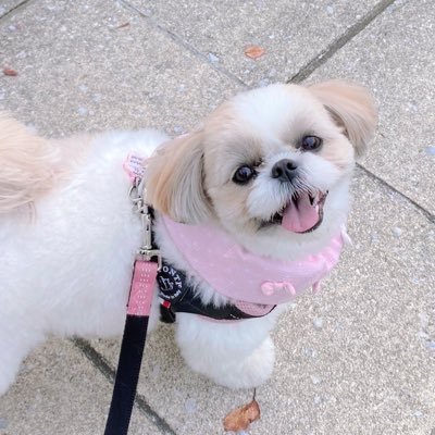 _momo_0710_'s profile picture