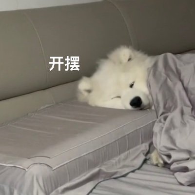 wwynz320896's profile picture