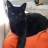 Marie C's profile picture