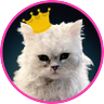 みか profil fotoğrafı