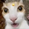 Sebastian_XD profil fotoğrafı