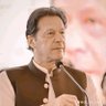 Hassan Raja's profile picture