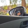BG profil fotoğrafı