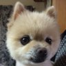 Profilbild von ROKO519