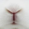ããããã's profile picture