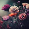 ps profil fotoğrafı