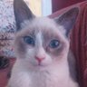 Profilbild von Marti C.