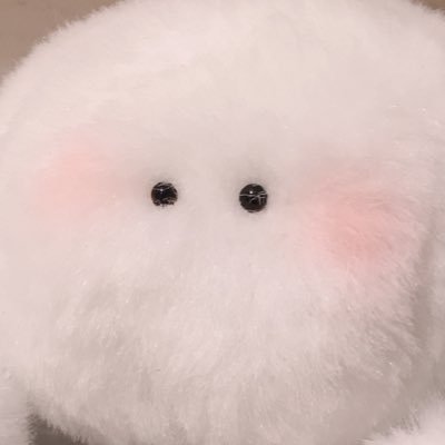 maruokun15's profile picture