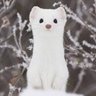Profilbild von ⚠️ シン(*´・д・)? 冬は夙めて