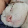 Jimmy profil fotoğrafı