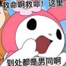 Profilbild von 三十光年🏳️⚧️🏳️🌈