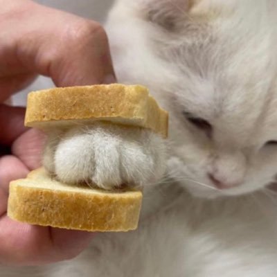 daisy_iksan's profile picture