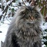 Profilbild von Omar