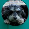 Jason Droolo's profile picture