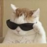 Profilbild von gulsumylmaz