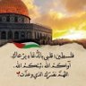 Фото профиля bushra