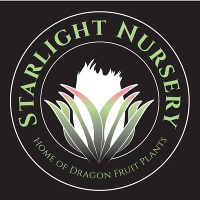 StarlightOrcha1's profile picture