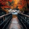 Фото профиля Paul001