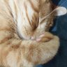 Benkhad profil fotoğrafı