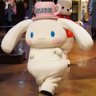 サイズの小さな靴's profile picture