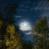 Фото профиля Gabriel