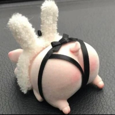 宠溺木瓜's profile picture