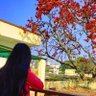 it's innocent –--------girl 🤗🥰's profile picture
