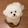 첫눈's profile picture