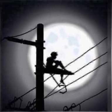 Choix1stJo's profile picture