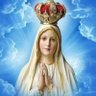 Cássia's profile picture