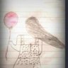 Hamode Aliraqi's profile picture